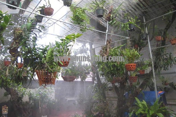 Phun sương Hawin được sử dụng cho vườn hoa tại Quận 2 – Sài Gòn
