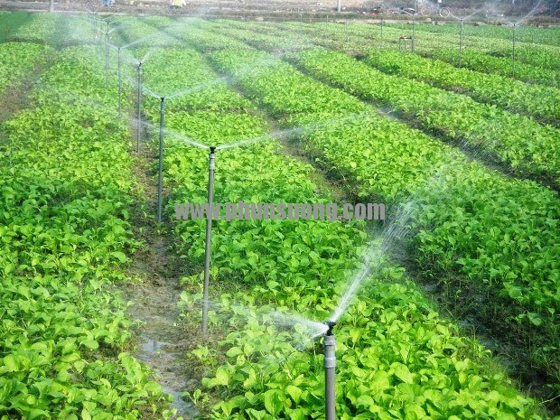 Phun sương Hoàng Hà dùng trong trồng rau ở Đắk Nông